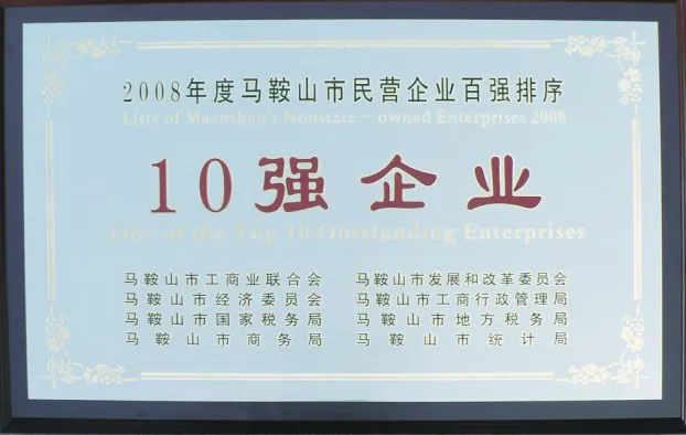 10强企业