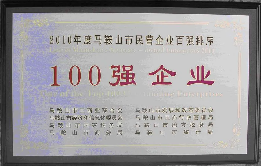 2010年度马鞍山市民营100强企业