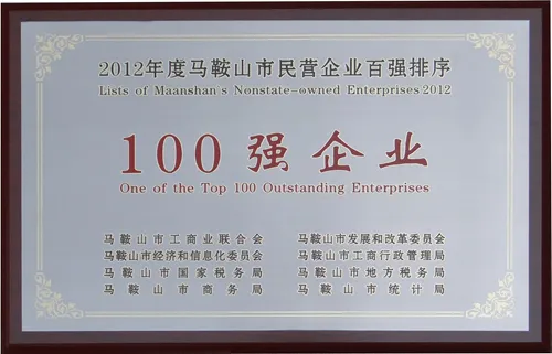 2012年度100强企业