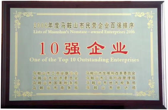 10强企业